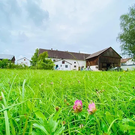 Am Sallingbach 度假居 Sallingberg