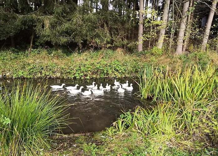 度假居 Am Sallingbach