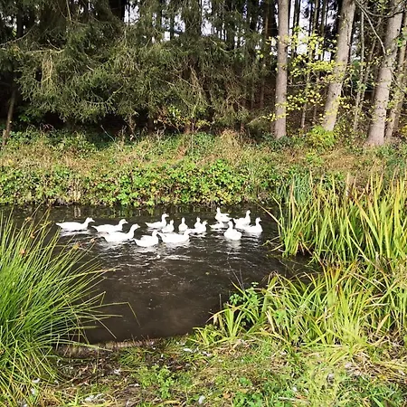 Hébergement de vacances Am Sallingbach